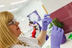 Taking Advantage of Dental Sedation